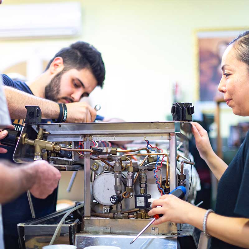 6-to mesečno redovno održavanje espresso aparata - Brew Society