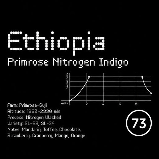 73 Roasters | Ethiopia Primrose Nitrogen Indigo specialty kafa - Brew Society