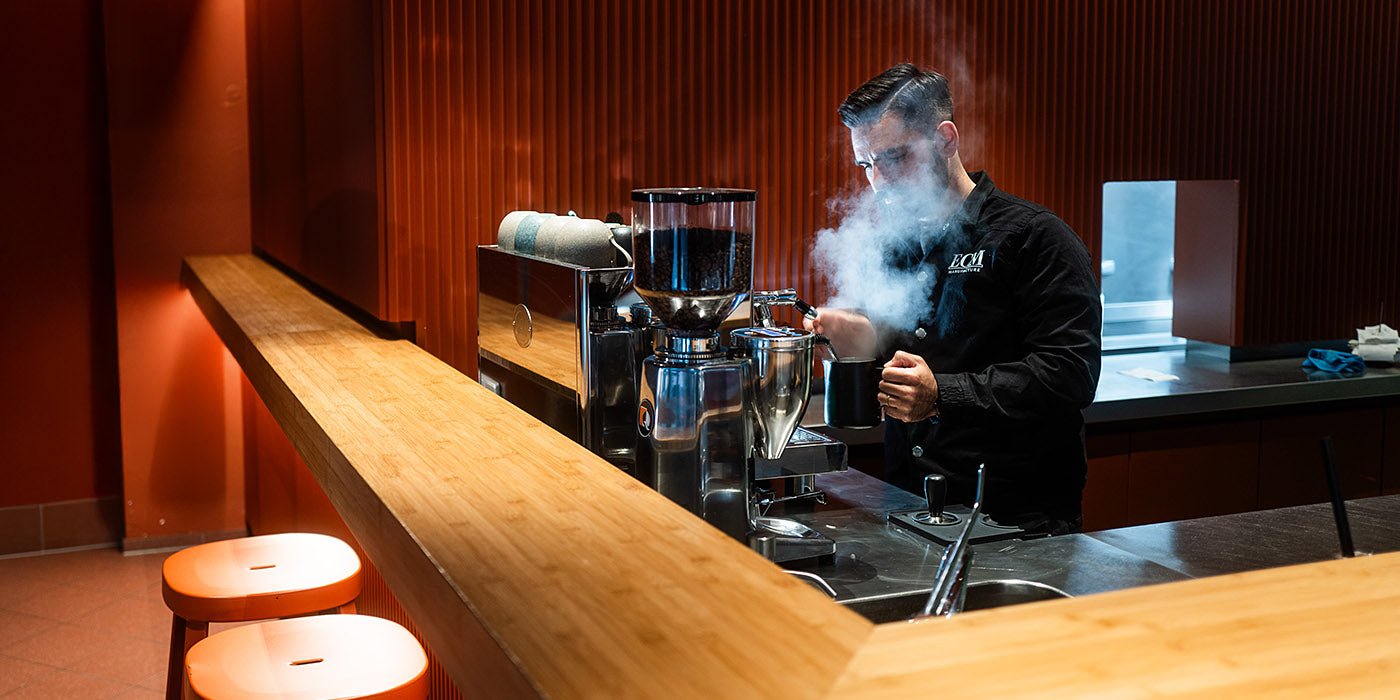 ECM Elektronika Profi Due Komercijalni Espresso Aparat - Brew Society