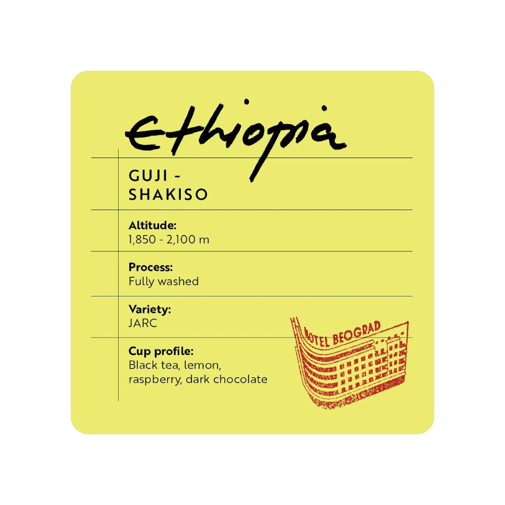 Hotel Beograd 1937 Ethiopia Guji Shakiso W – Washed - Brew Society