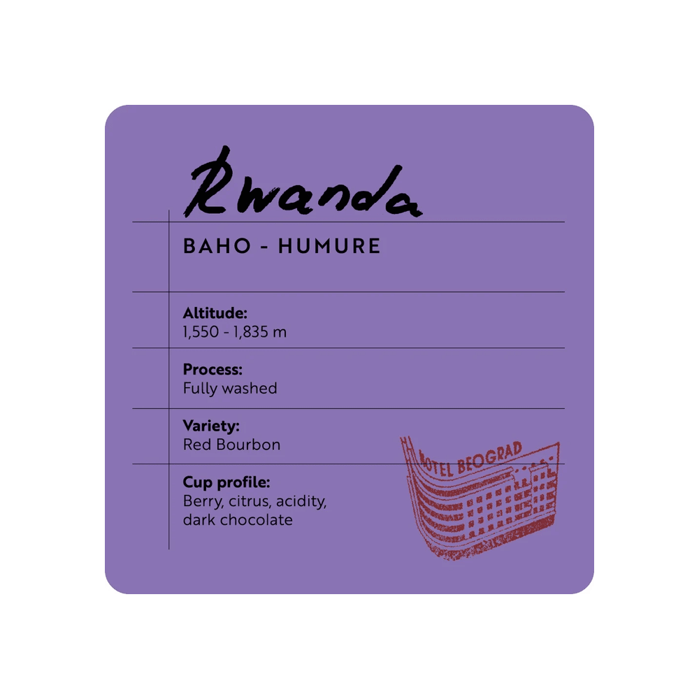 Hotel Beograd 1937 Rwanda BAHO-HUMURE - Brew Society