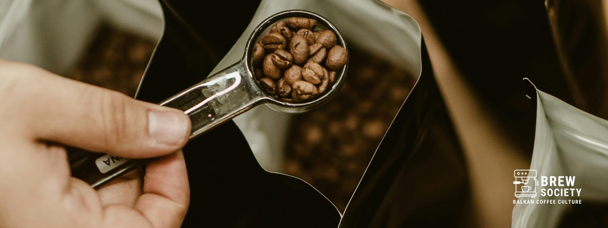 Arabika vs. Robusta: glavne razlike između dve najpopularnije sorte kafe - Brew Society