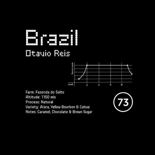 73 Roasters | Brazil Otavio Reis specialty kafa - Brew Society