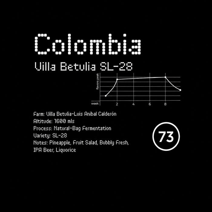 73 Roasters | Colombia Villa Betulia SL-28 specialty kafa - Brew Society