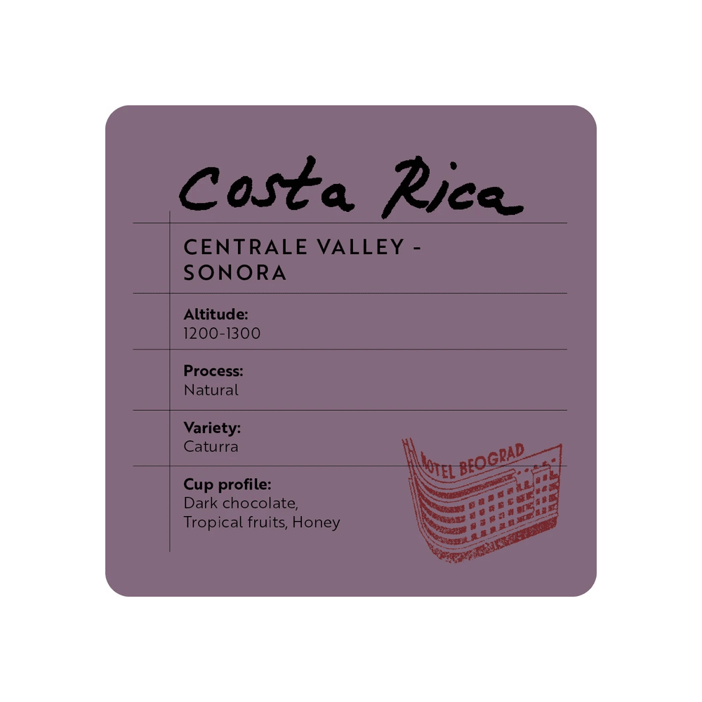 Hotel Beograd 1937 Costa Rica Centrale Valley Sonora - Brew Society