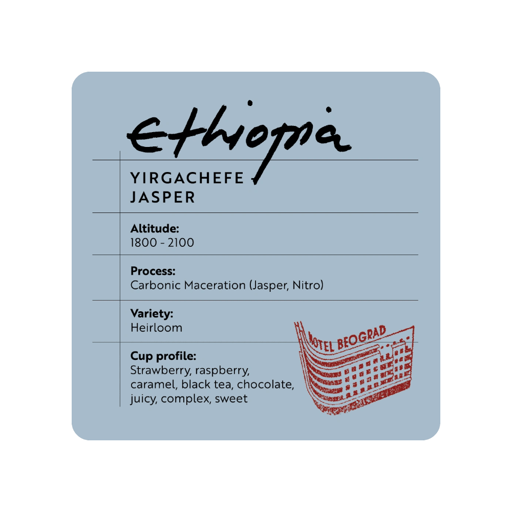 Hotel Beograd 1937 Ethiopia Yirgachefe Jasper - Brew Society