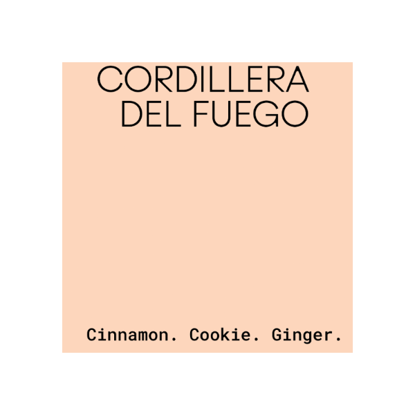 Melö Coffee | Cordillera del Fuego Costa Rica specialty kafa - Brew Society
